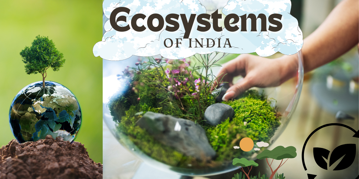 Different Ecosystem of India